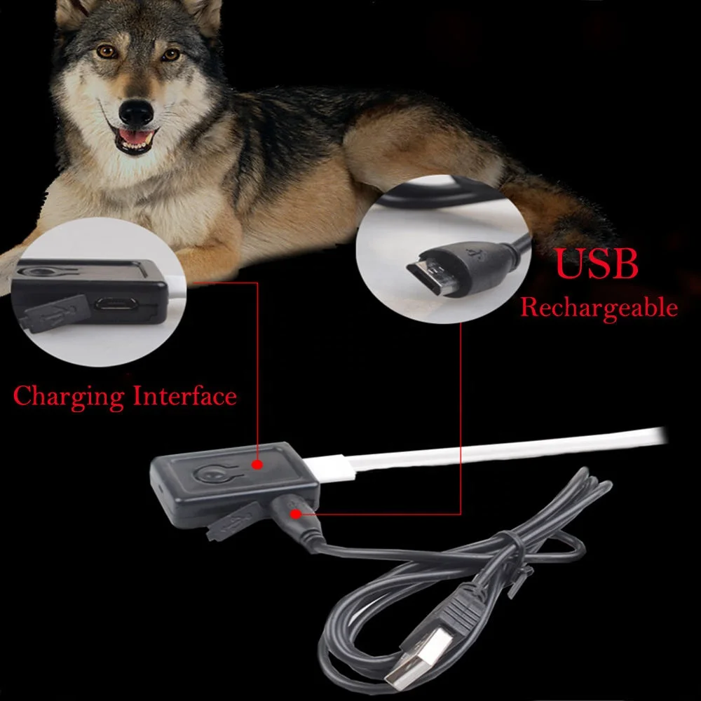 Adjustable LED Flash Pet Dog Training Collar, Dogs Luminous Fluorescent Collars Pet Supplies
