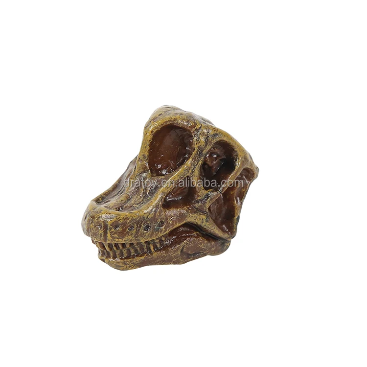 Factory Wholesale High Quality Educational Kids Realistic Dinosaur Skull Figurines Exquisite Dinosaur Skull Toys Decorations