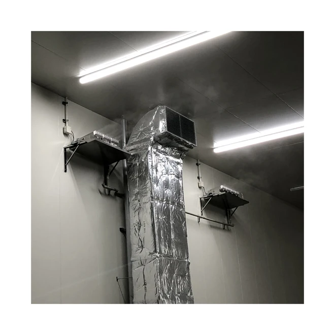 Big air humidifier large space It sprays mist long distance, to reach every corner in the room