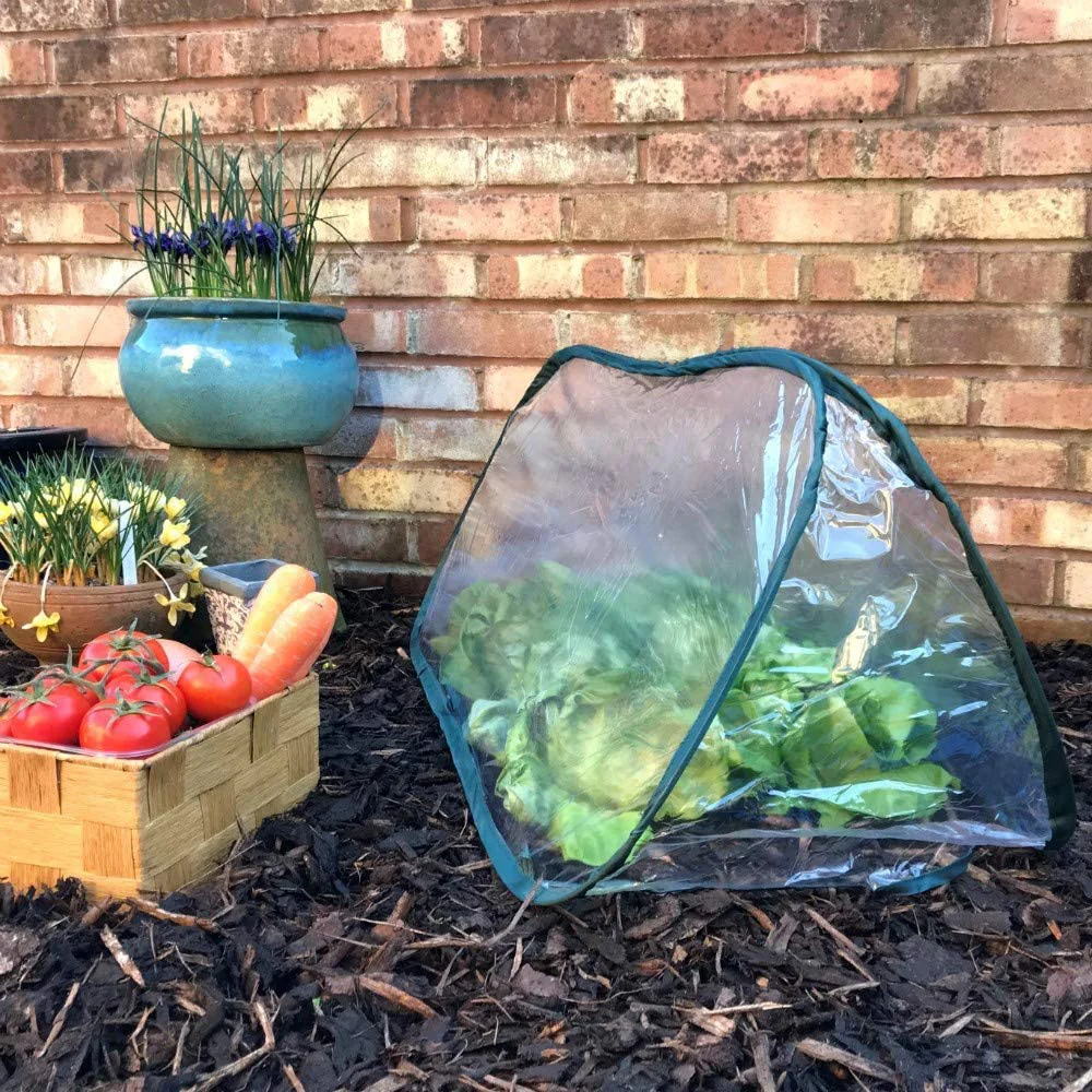 Pop-up PVC garden cloche