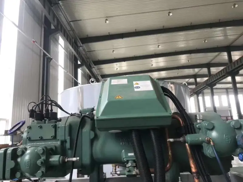 Ice Machines For Seafood Fish Food Processing Cooling Flake Ice Maker Snow Scale Ice Making Machine China Manufacture