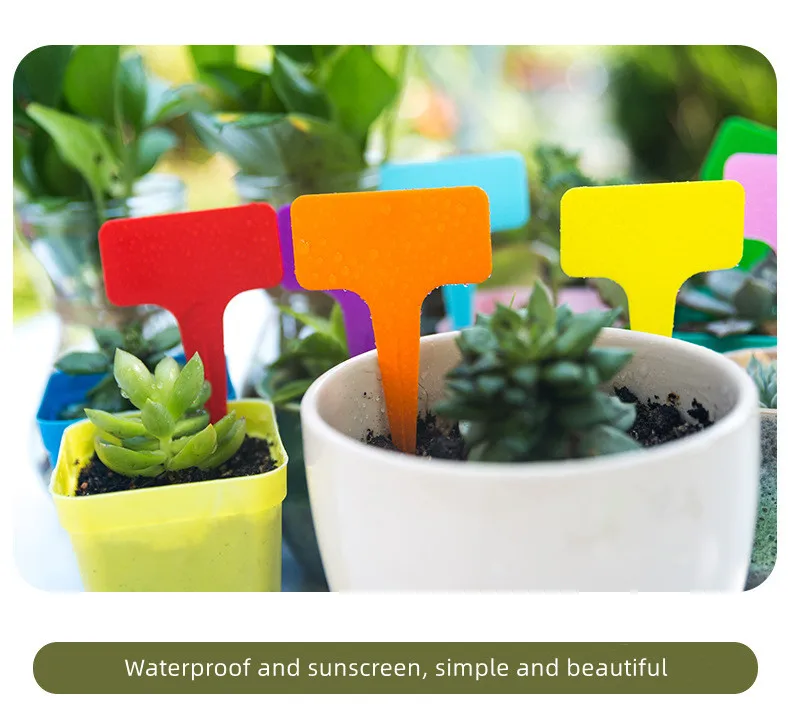 Plastic Waterproof Reusable Gardening Flower Plant T-Type Succulent Label For Flower Vegetables Herb Signs for Tagging Plants