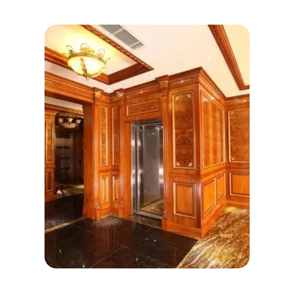 Safety Residential electric wheelchair outdoor platform lift cheap 2 person Vertical traction villa lift
