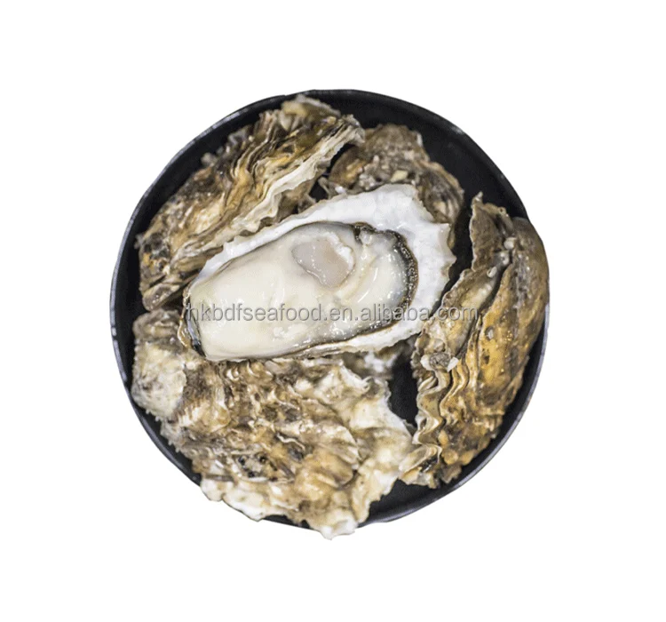 Frozen Freshwater With Half Shell Pacific Oyster
