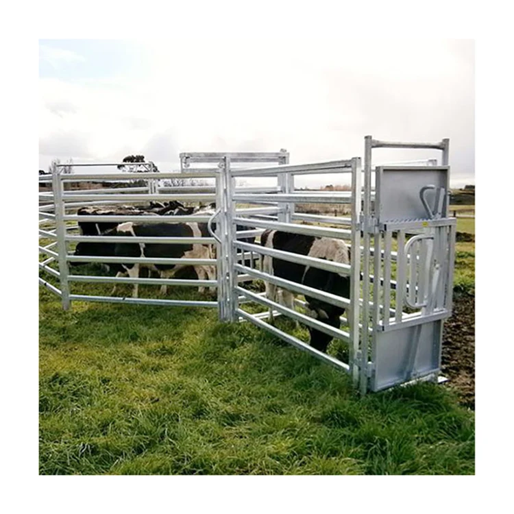 High quality factory supply australia standard 12ft galvanized farm yard livestock cow cattle fence panels for sale