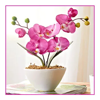 Lusiaflower hot sale artificial orchid flower for wedding decoration real touch orchid for wedding decoration