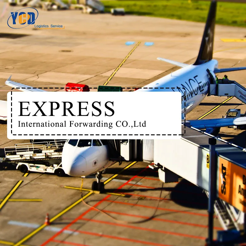 Ali professional worldwide export/import customs broker freight forwarder warehouse service customs clearance services