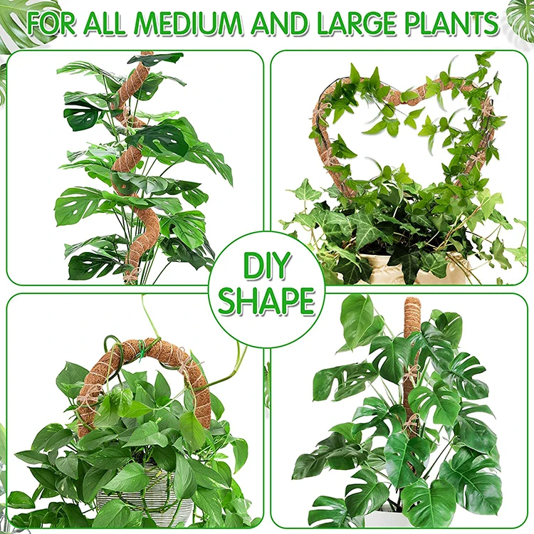 Natural 24 Inch Stakes Totem Forest Sphagnum  Plant Moss Poles for Climbing Plants Support