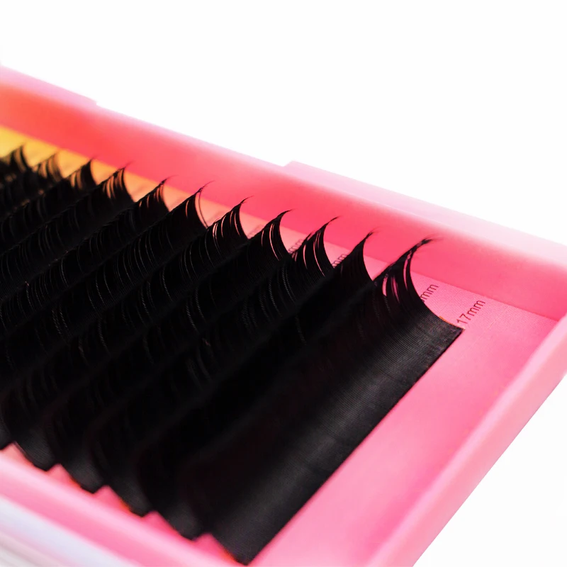 Custom Box Shine Camellia Korean Pbt Wholesale Silk 02 Lash Fan Eyelash Extensible Tech Supplies Colored Russian Faux Mink