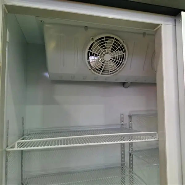 Upright Single-Temperature Vertical Refrigerator with Glass Door Beverage Ice Cream Display Supermarket Shops Cool Climate Type