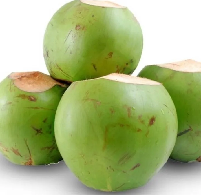 
Best sale Fresh Young Coconut Wholesales whole Green husk Tropical OEM Sweet Vietnam Packing Pulp Color Weight Eco Pieces 