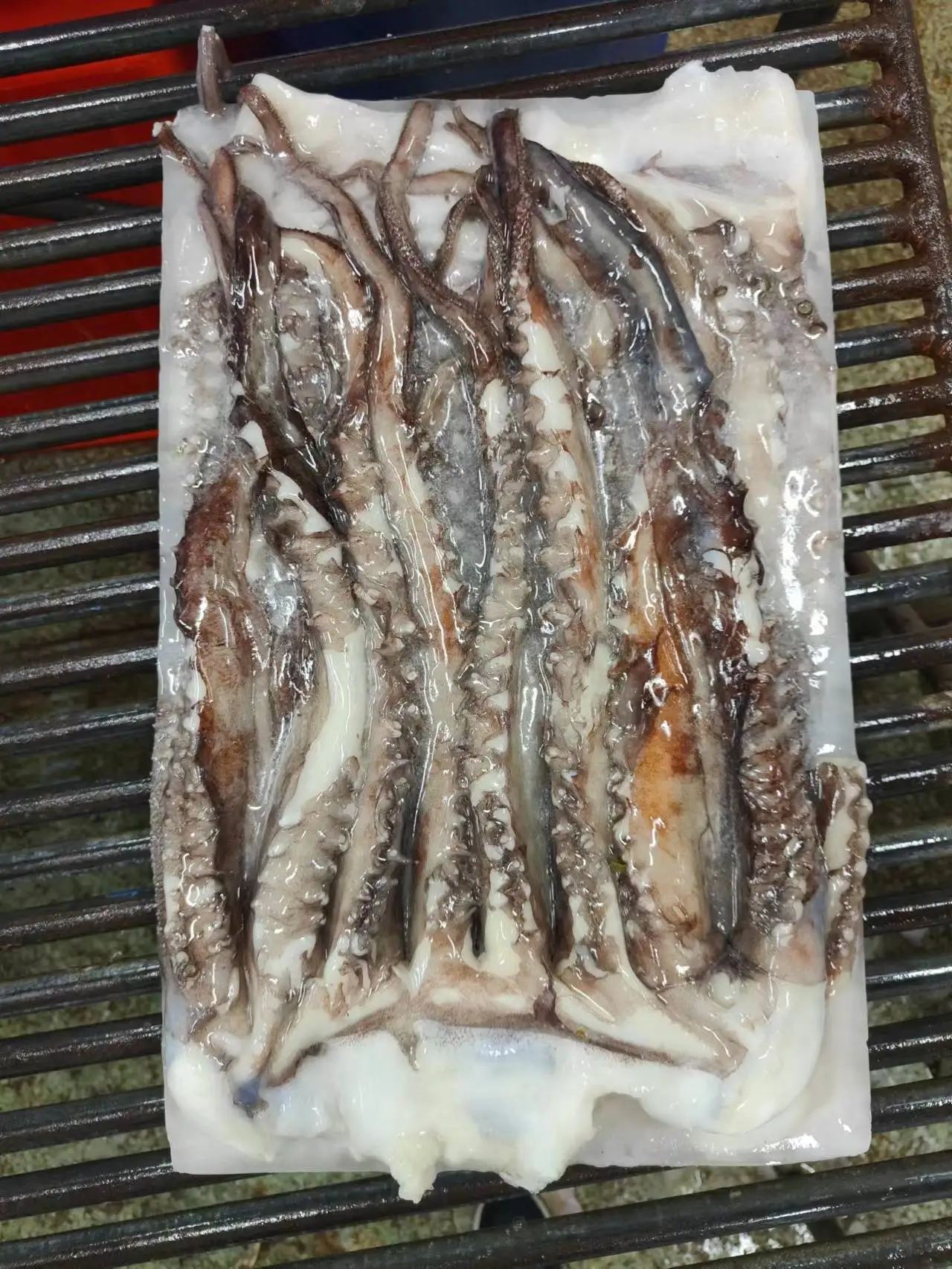 Frozen Giant Squid Long Sexual Tentacle Squid Head Tentacle Price