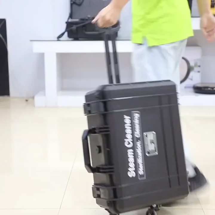 Portable Electric High Pressure Bagless Steamer Remove Dust Carpet Cleaning Washing Cleaner Machine