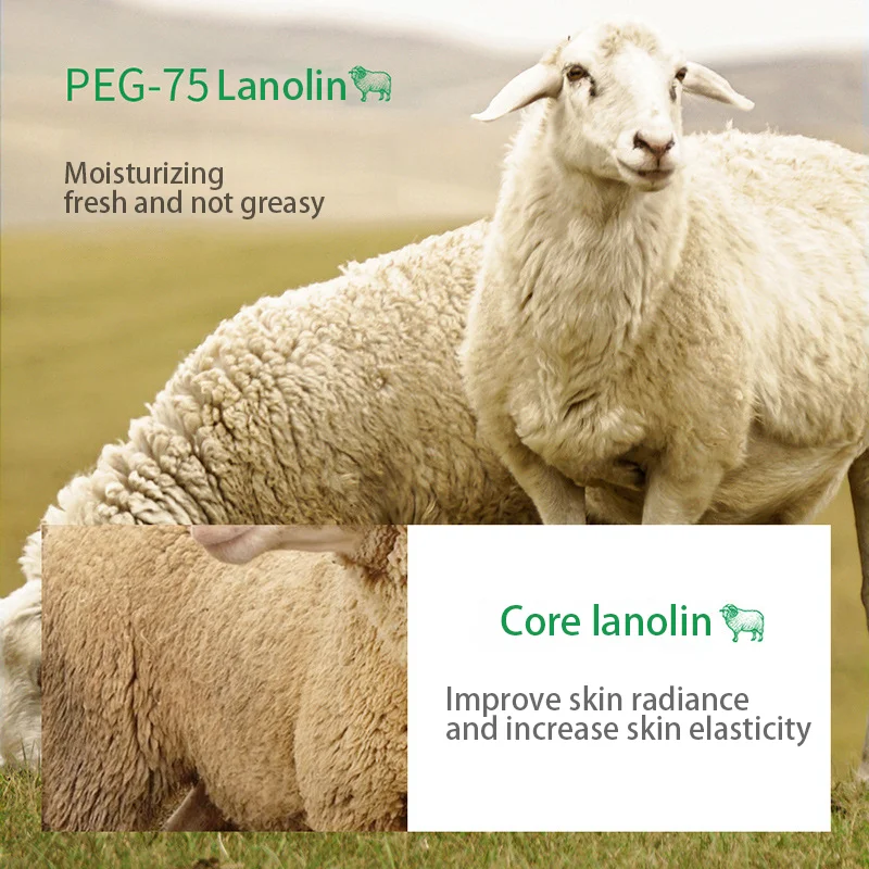 Bulk In Stock Fast Delivery Aloe Vera Deep Moisturizer Lanolin Cream