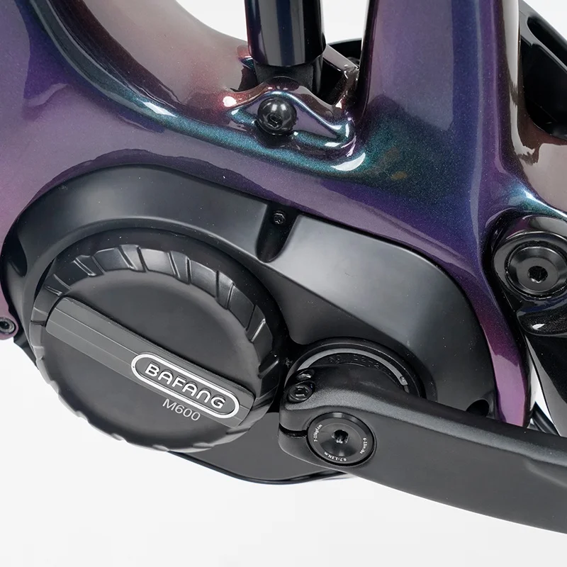 All terrain carbon fiber 12 speed road vehicle BAFANG central motor electric bike 250w 350w fat tire mountain electric bicycle