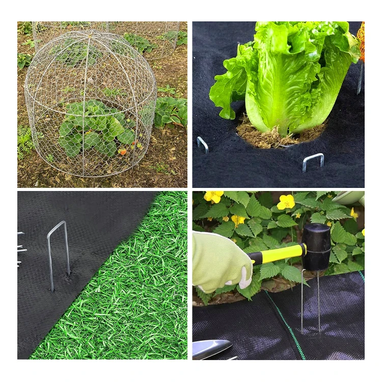 Common Wire Nails Artificial Turf Install Fasteners Stock 500 pcs Steel Galvanized U Shape Nails For Garden Greenhouse