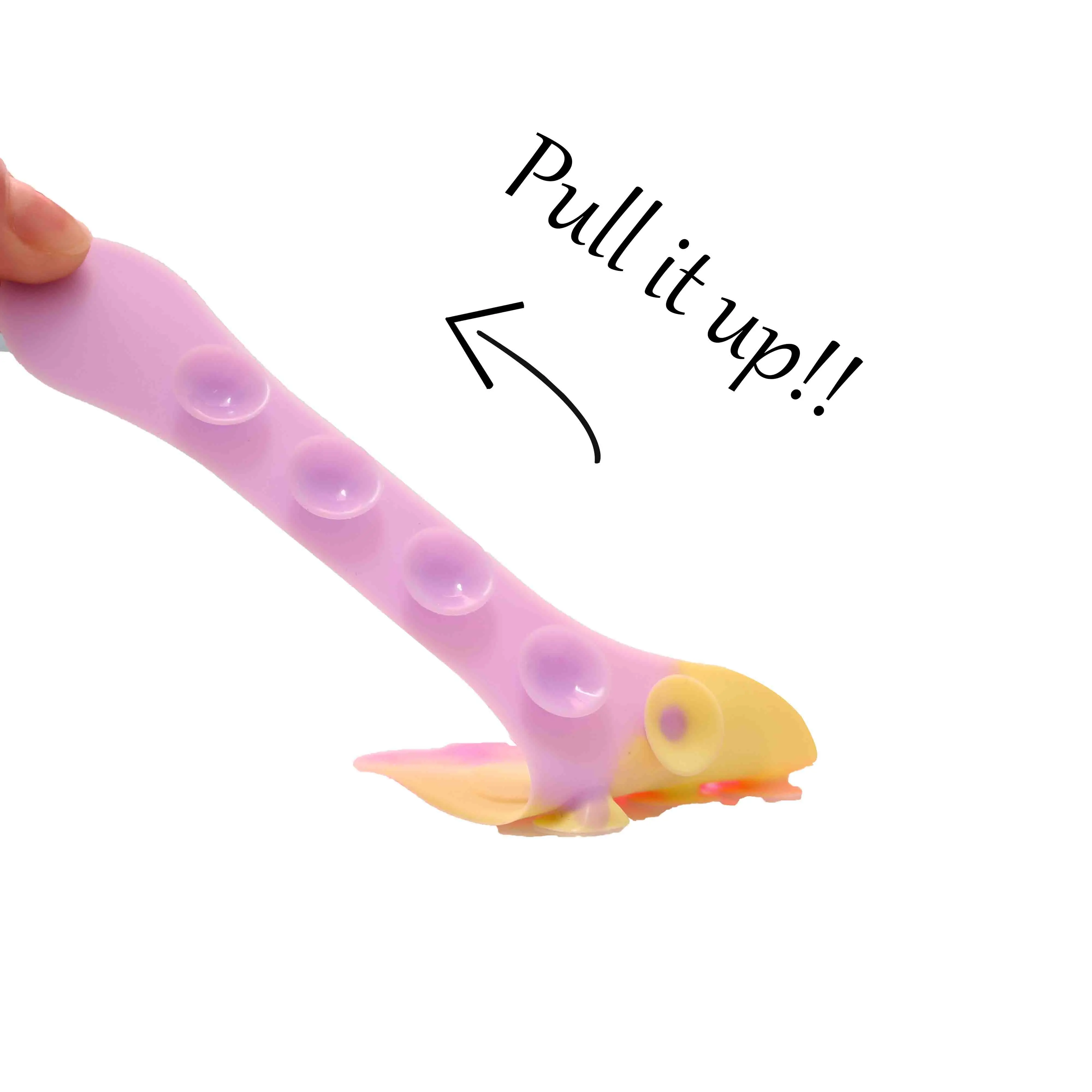 wholesale educational squidopop fidget squido toy antistress Toys  silicone suction toy