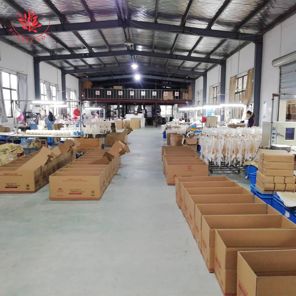 First Doctor Aid Training Medical Full Body General Doctor Adult Training Cpr Manikin