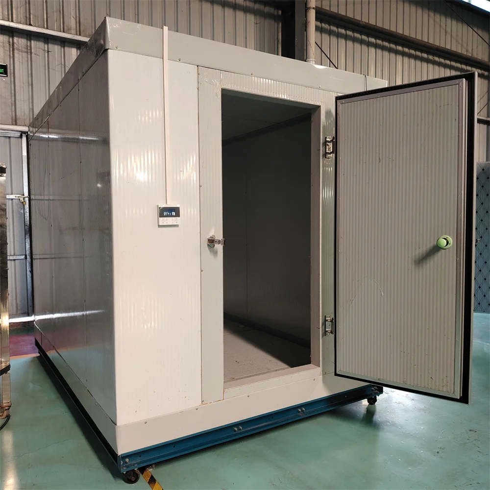 Customized Cold Room Supplier Air coolers Refrigeration Freezer Cold Storage Container Cold Rooms
