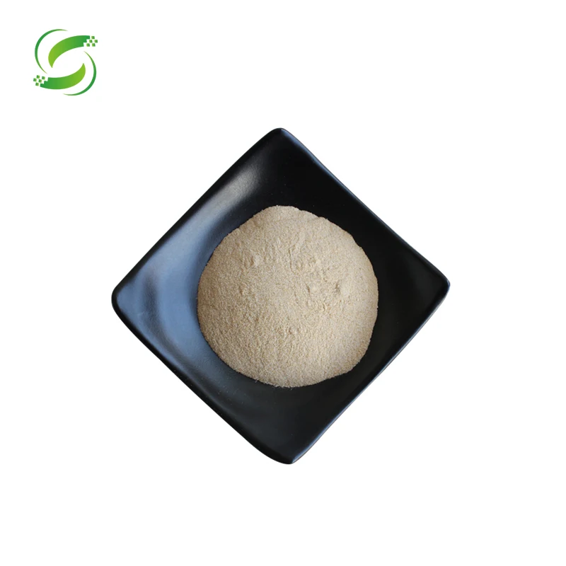 HIgh quality cold pressed hemp seed protein powder bulk price