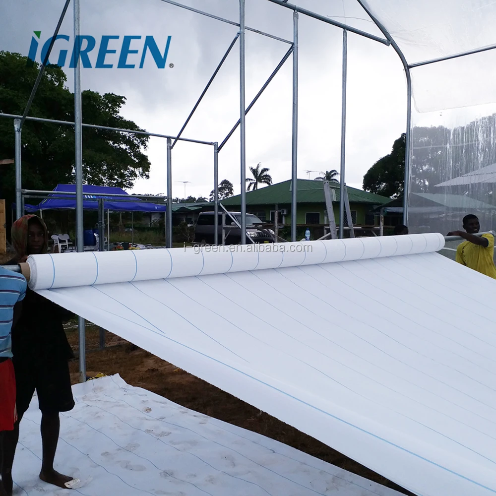 Commercial tropical roof vent single-span greenhouses for tomato, lettuce, pepper