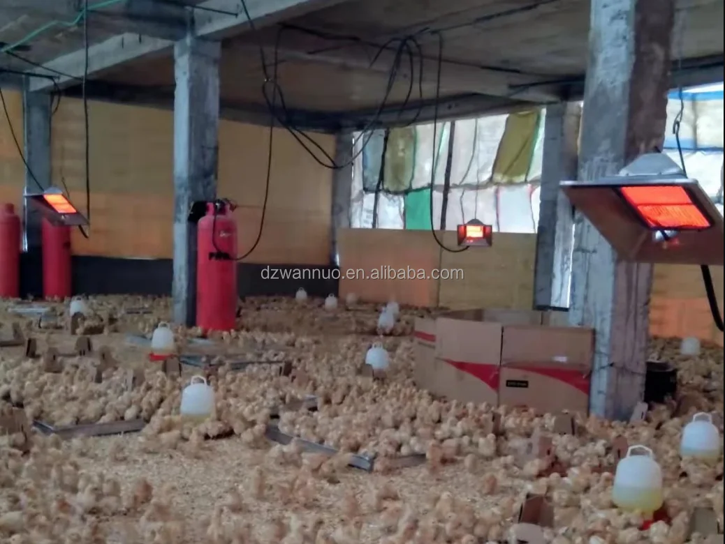 North america popular premium patio outdoor chicken poultry hanging heating equipment infrared gas heater