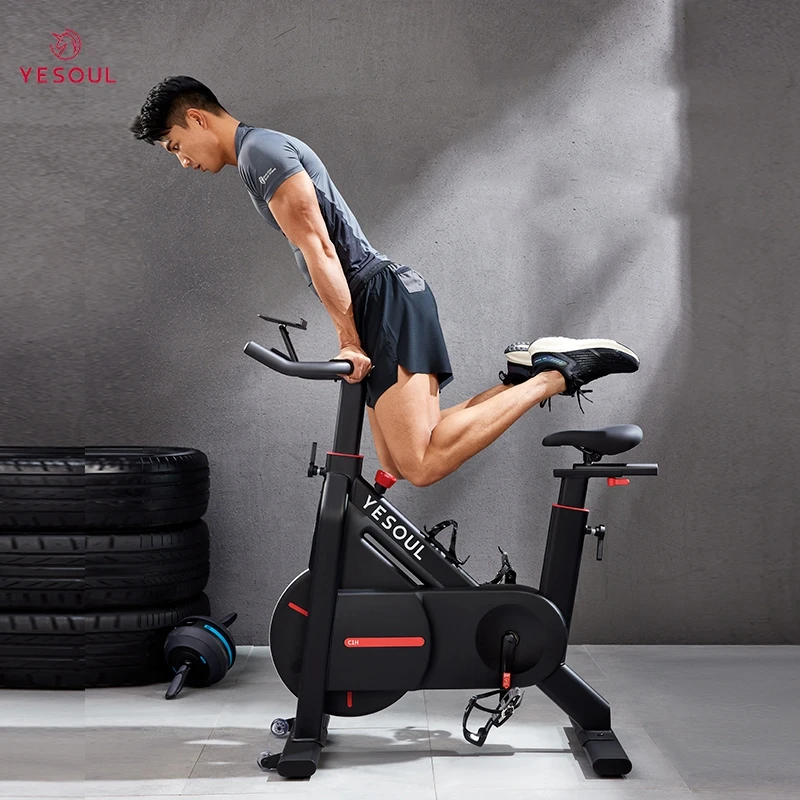 Yesoul C1H best exercise bike factory home use  indoor spinning bicycle magnetic spin bikes rear flywheel manufacturers