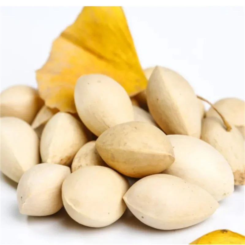 Wholesale  2023 Sales Best Selling  Cheap Price ginkgo Nuts Good Price For Sale