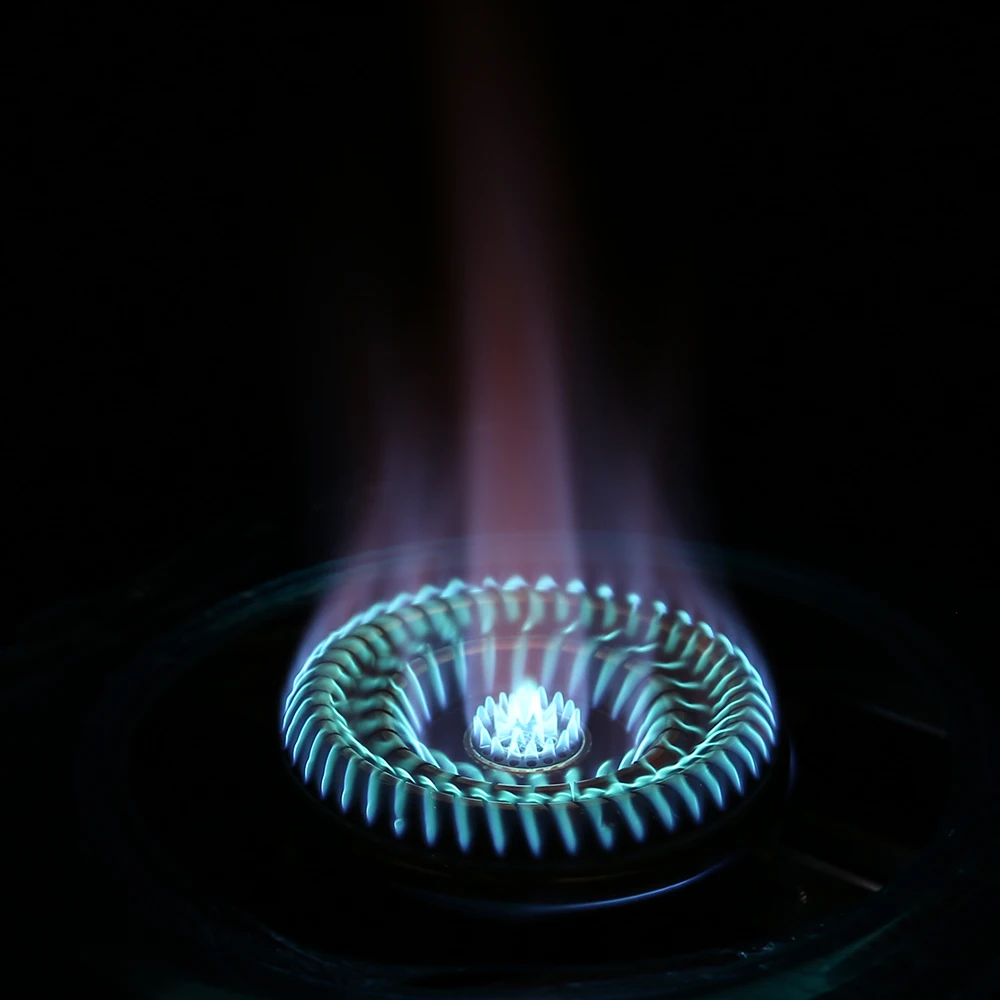 Stand Gas Stove Kitchen Cast Iron Burner Stainless Steel Gas Stove