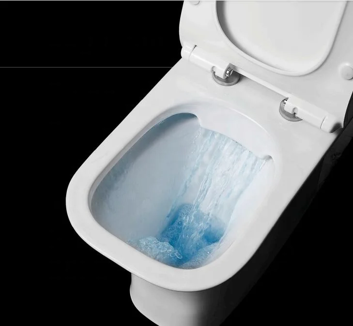 Sanitary Ware Ceramic WC Washdown P-Trap Toilet Closestool