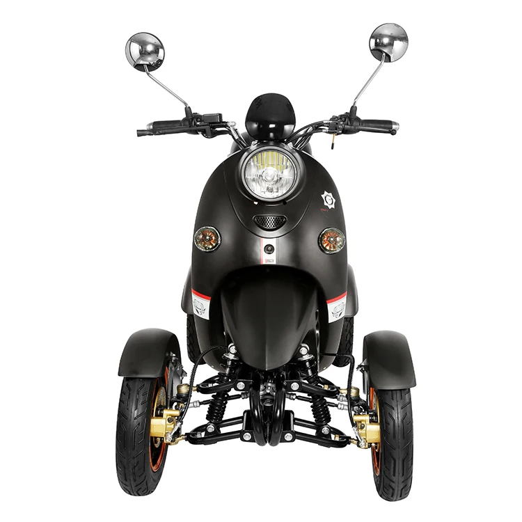 Electric 3 Wheel Trike Scooter Motorcycle Tricycle 2 Seat Electric Trikes 48V 600W Tricycles Foot Hand Brake