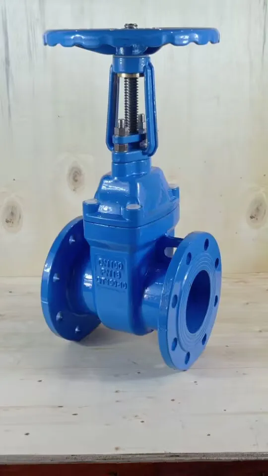 Factory Direct Sale 8in Rising Stem Brass Gate Valve PN16 Manual Metal Seat Flanged Gate Valve