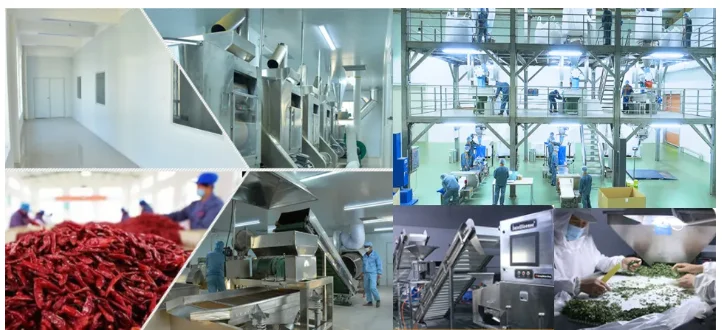 Wholesale Best Price high quality Cloves Freshly Dried Cloves