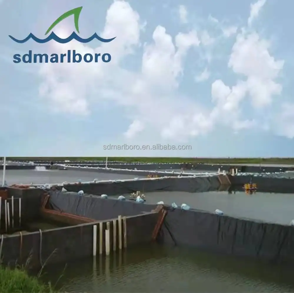 SDM   factory production wholesale Smooth Geomembrane 0.5mm 1.0mm 1.5mm 2.0mm