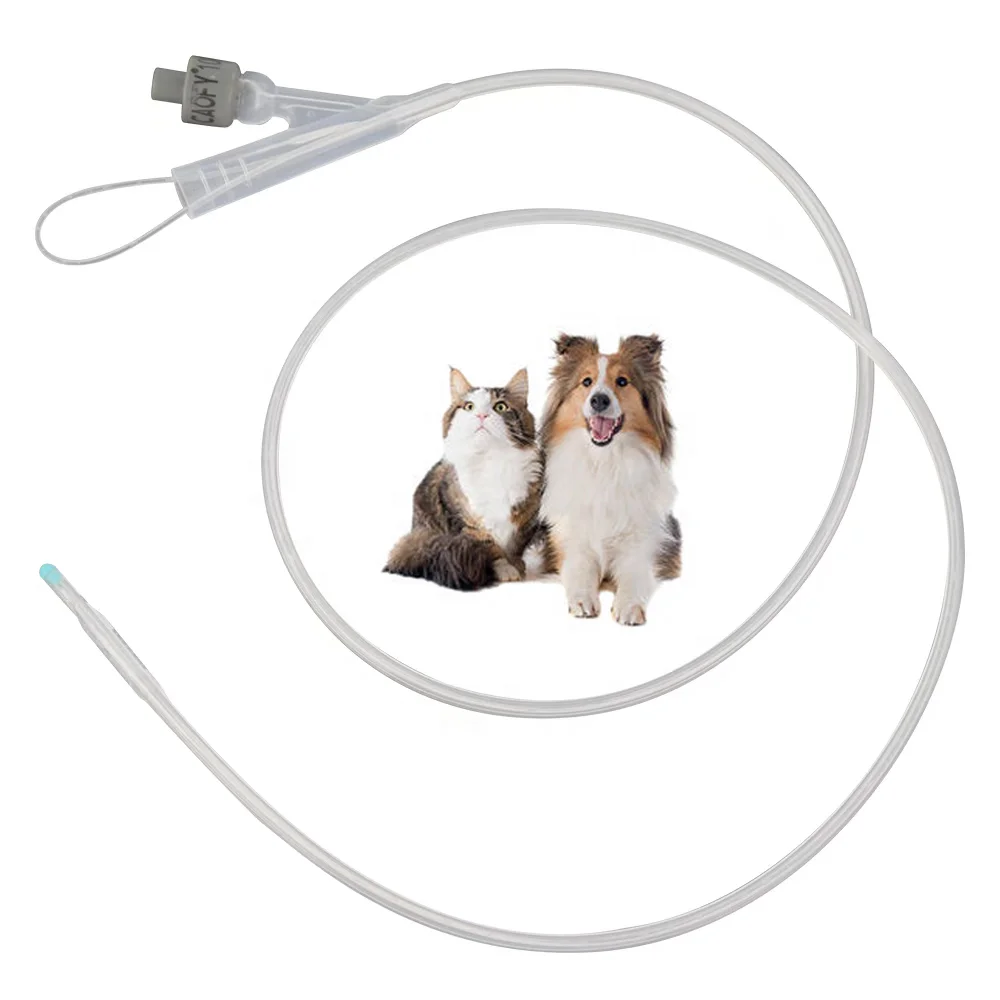10FR 340 мм Премиум ветеринарный силиконовый двухсторонний катетер для ухода за