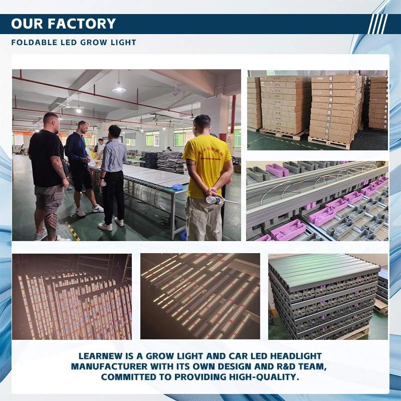 High Effciency 1300W 1500W LED Grow Light LM301H LM281B UV IR Full Spectrum Plant Grow Light for Vegetable Growing Lighting