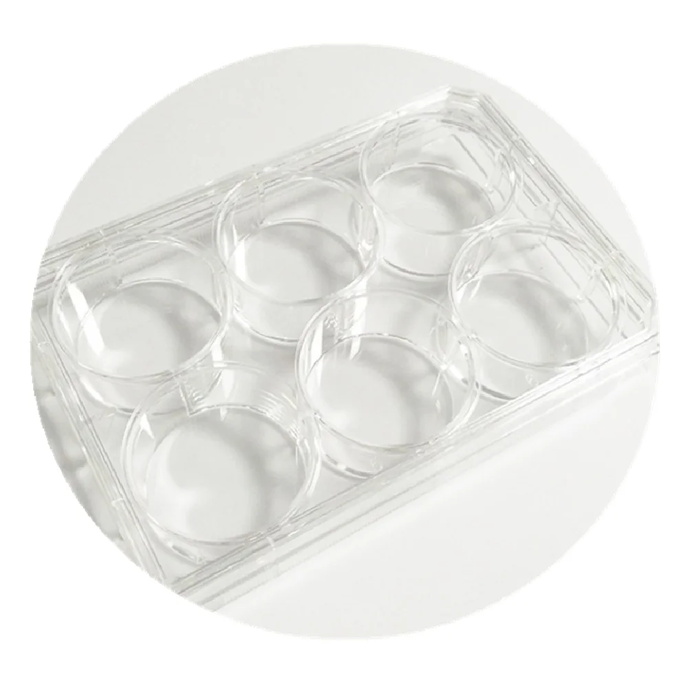 Shira Wholesale Plastic Sterile Well Plate With 6/12/24/48/96 Cell Culture Plate Petri Dish Plate For Other Lab Supplies