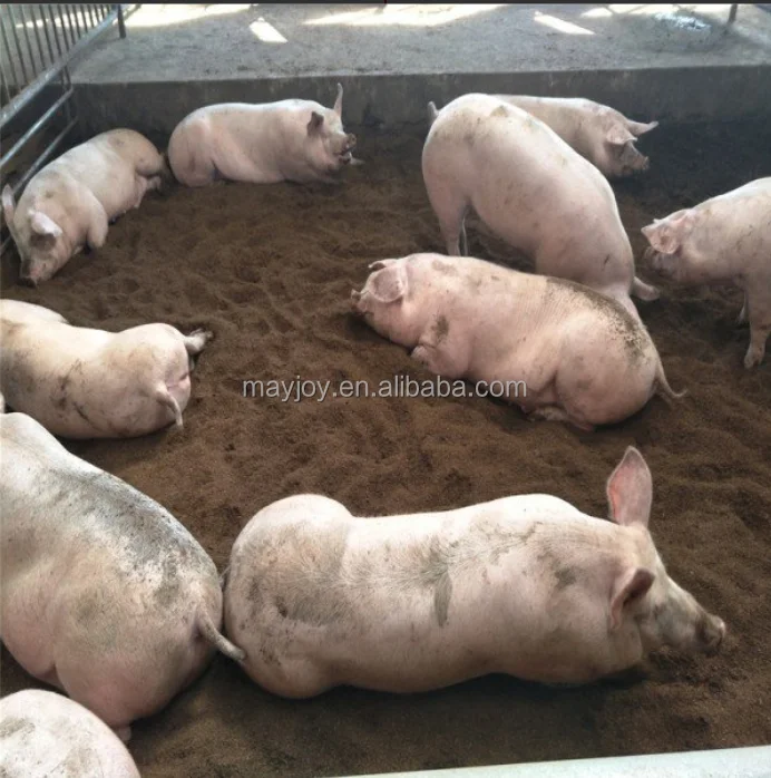 MAYJOY strong activity  Compost accelerator for faster composting  Starter cultures(whatsapp:008618137186858)