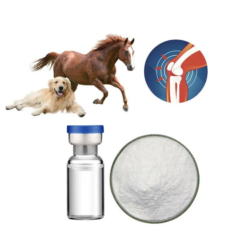 Улучшенная плотность костей, Заводская поставка, инъекция свиного хондроитина сульфата хондроитина, внутриартикуляционный сульфат для лошадей