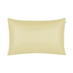 Natural Luxury 19MM 100% mulberry silk Zipper Pillow Case smooth Silk Pillowcase