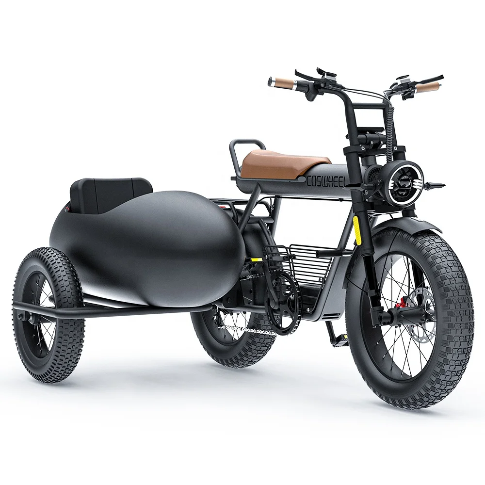 Coswheel CT20 Sidecar Ebike Side Car Cargo Bike Electric Ebike e-Cargo Family e Bicycle 3 Wheel Electric Cargo Bike