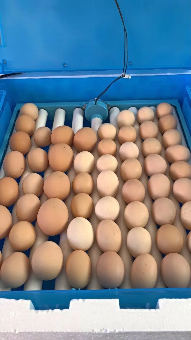 poultry chicken farms Egg hatchery large small mini full automatic 100 200 500 1000 egg incubator for sale