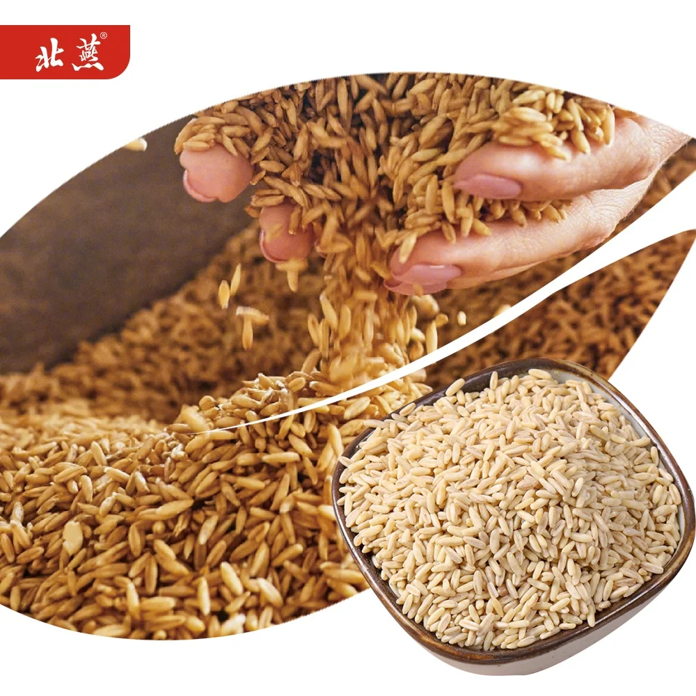 Factory Natural Germ Oatmeal Rice Vacuum Packaging  Oat Rice China Origine Haver Graan Oatrice Healthy