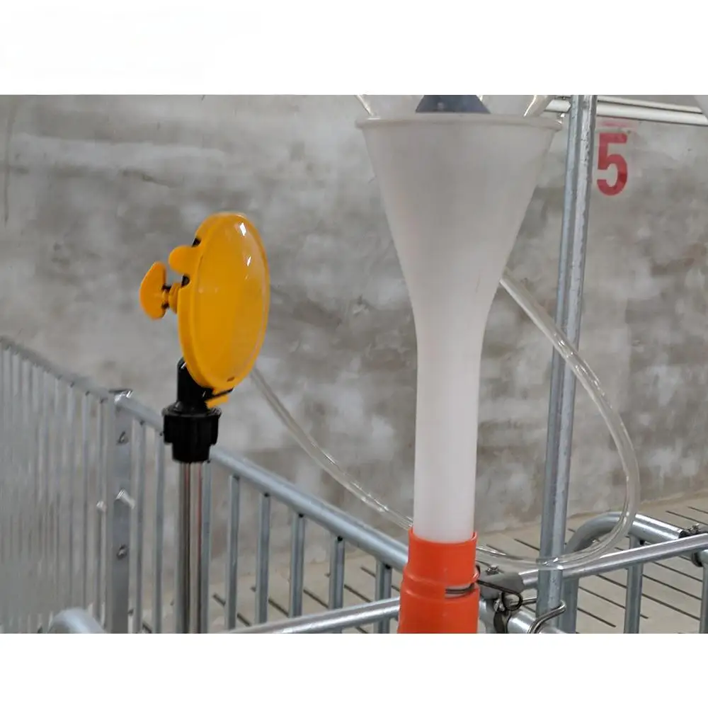 Factory Supply Modern Pig Farm Automatic Feeding System Project Professional Design EPC