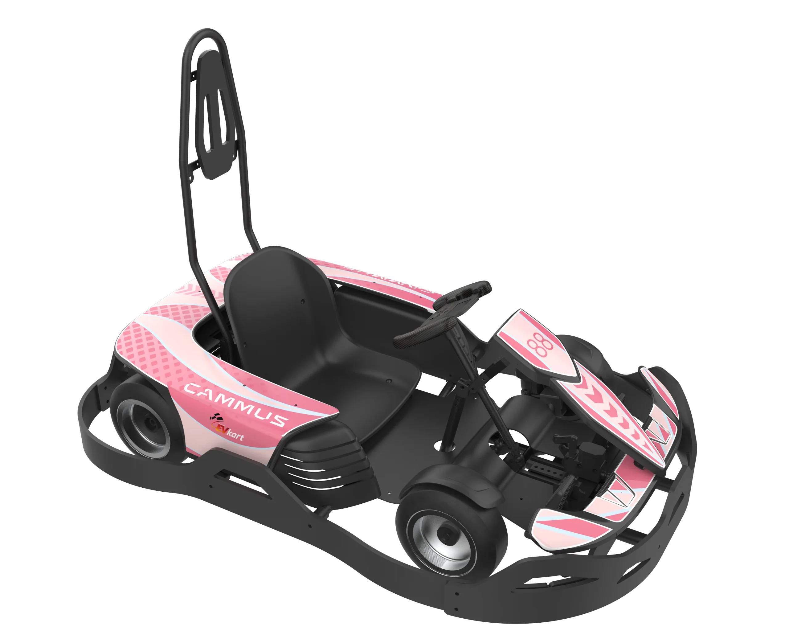 CAMMUS Sale Price Removable Battery Karting Cars Electric Racing Go Karts for Kids Indoor Racing Kart