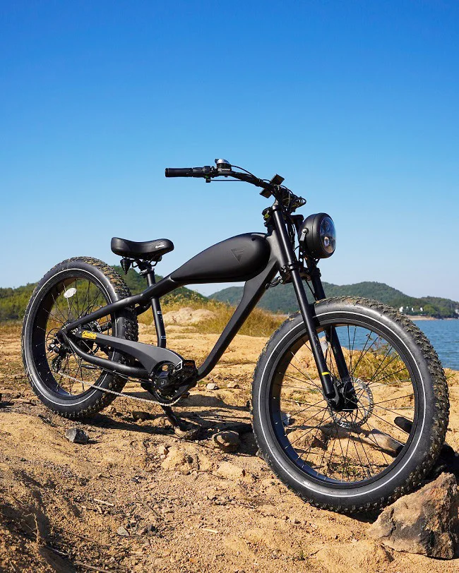 26 inch Tire 7 Speed 750W Rear Hub Motor 48V 17AH Lithium Battery Aluminum Alloy LED Display Disc Brake Bike Electric Motorcycle