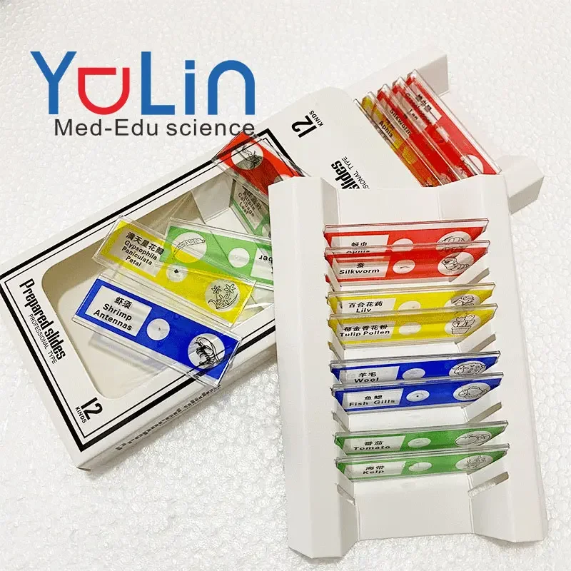 Specimens Microscope Prepared Slides 48pcs Plastic For Children Microscope On Insects Animals Flower Plants