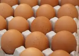 Chicken Table Eggs Export Fresh Eggs