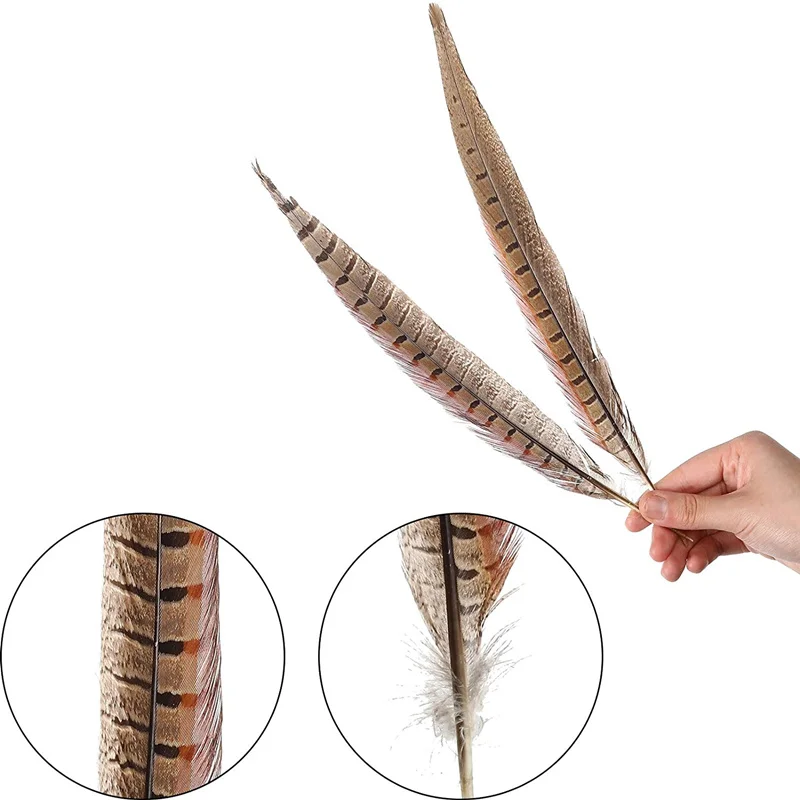 Ehfeather Good Quality natural  pheasant feather trims fringe Gorgeous Fashionable pheasant feathers