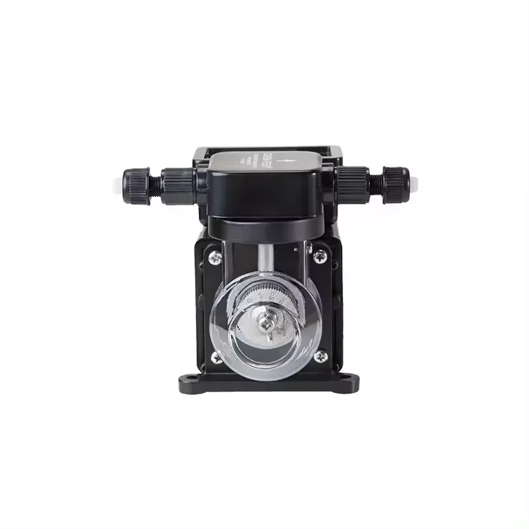 Acid Water Treatment Swimming Pool Automatic Chlorine Dosing Pump For Chemical Liquid
